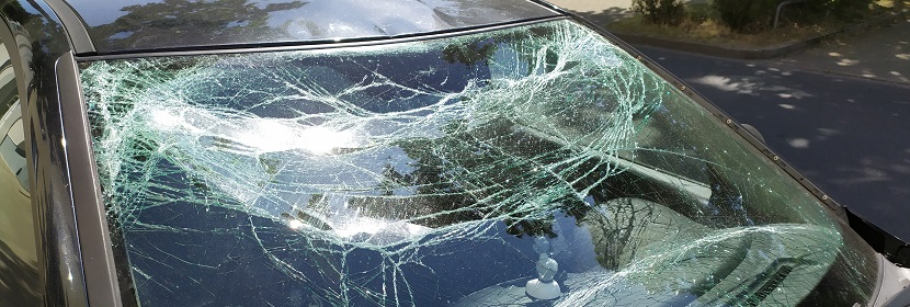 國內(nèi)抗原檢測試劑盒，哪家比較靠譜呢 ?實驗筆記丨病毒感染細胞實驗的步驟詳解（上卷）