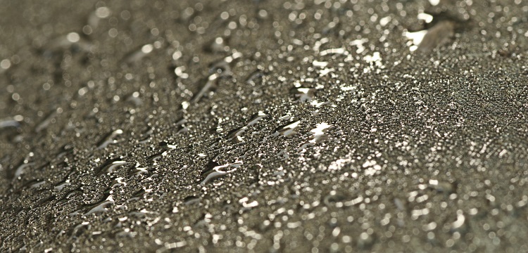 為什么滴露免洗洗手液用disk-diffusion method 實驗結果顯示不抑菌 ?簡述滅菌效果檢測的內容 