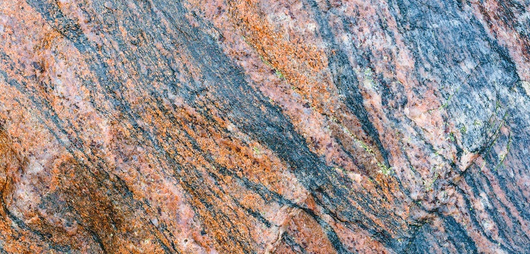 2022年廣東省最新林業碳匯申報要求匯總：方法學、申報模板、材料清單