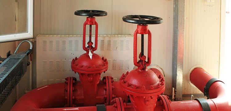 微生物安全健康網，微生物檢測如何規范操作 ?在微生物檢測實踐中，什么時候需要檢測參考菌群 參考菌群的檢測有何意義 ?健明迪