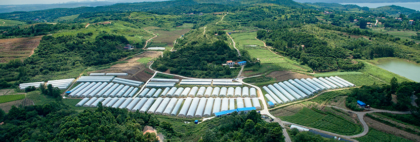 農用地土壤調查