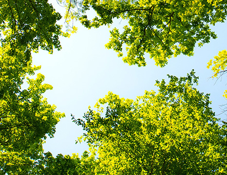 衣康酸檢測(cè)