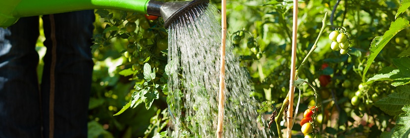 一水硫酸鎂檢測