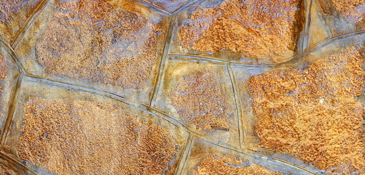 氣柱袋檢測(cè)