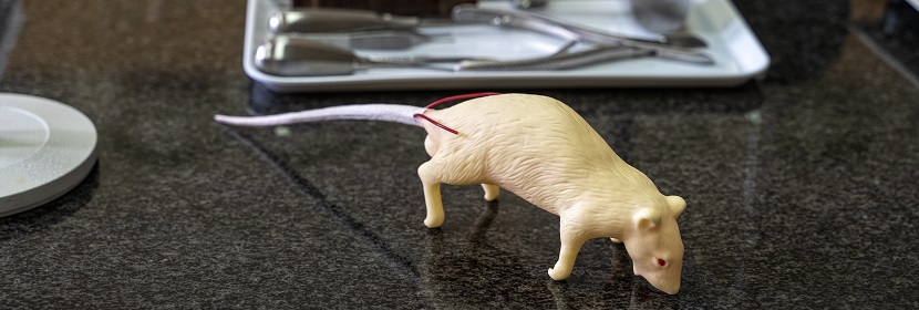 皮膚光毒性試驗