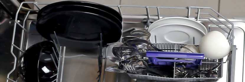 沙門菌檢測(cè)