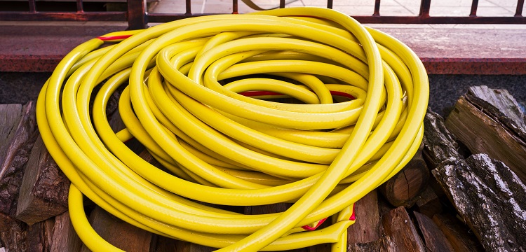 尾部懸吊模擬失重誘導大鼠學習記憶障礙模型